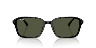 Ray Ban Sunglasses RB2231F