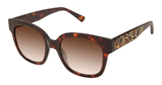 S312-Sfs-2024 Tortoise