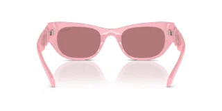 Swarovski Sunglasses SK6022F