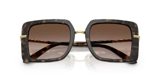 Dolce & Gabbana Sunglasses DG4491