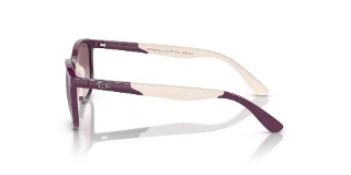 Ray Ban Jr Sunglasses RJ9077SF