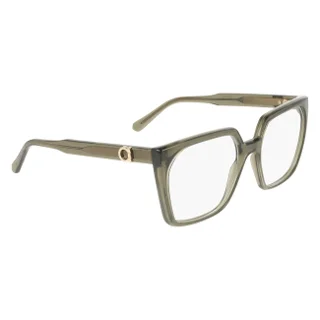 Salvatore Ferragamo Eyeglasses SF3042E