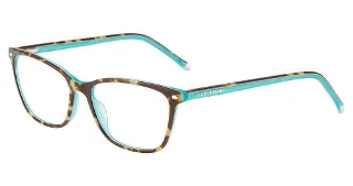 Tortoise Teal