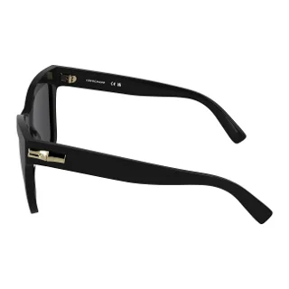 Longchamp Sunglasses LO815S