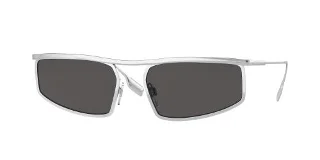 100587 Silver