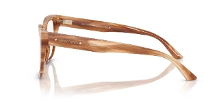 Jimmy Choo Eyeglasses JC3019B