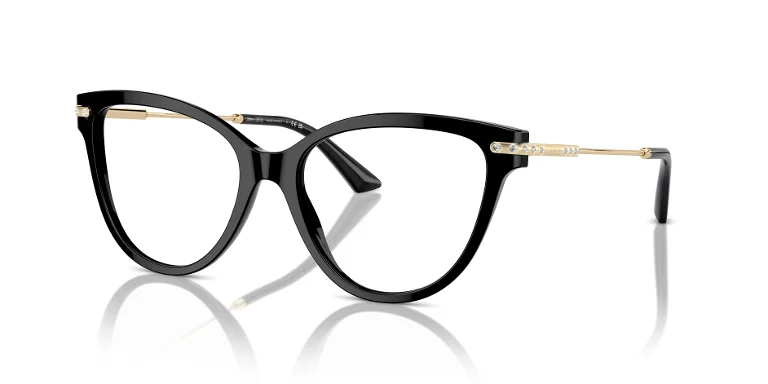 Jimmy Choo Eyeglasses JC3001B