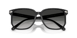 Coach Sunglasses HC8413BD