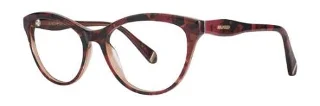 Red Tortoise