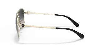 Coach Sunglasses HC7127