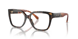 3006 Dark Tortoise