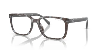 583872 Grey Tortoise