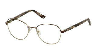 1 Gold/Brown