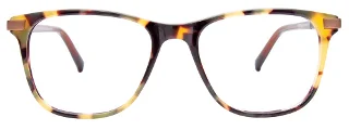 Easyclip Eyeglasses EC555
