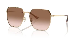 900513 Shiny Light Gold/Brown