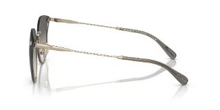 Coach Sunglasses HC7151D