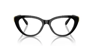 Swarovski Eyeglasses SK2005