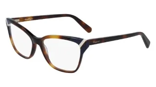 214 Tortoise