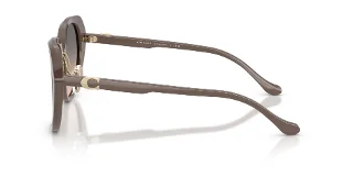 Coach Sunglasses HC8436