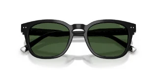 Polo Sunglasses PH4242F