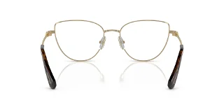 Swarovski Eyeglasses SK1007