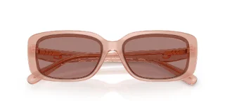 Coach Sunglasses HC8444D