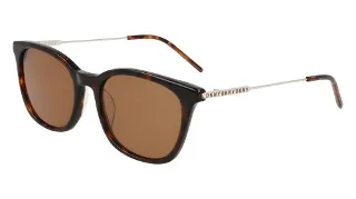 205 Brown Tortoise