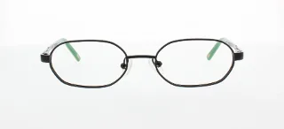 Polo Eyeglasses PP8017