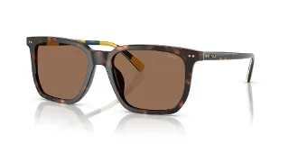 500373 Shiny Dark Havana