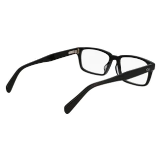 Salvatore Ferragamo Eyeglasses SF3000LB