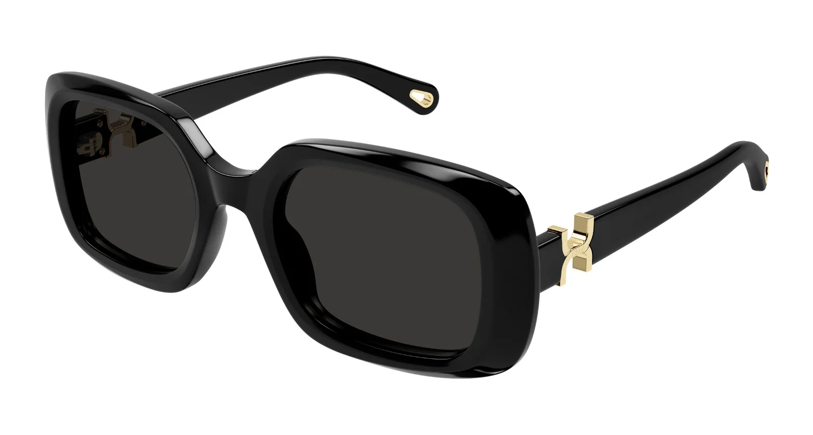 Chloe Sunglasses CH0333S