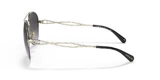 Coach Sunglasses HC7124