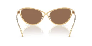 Swarovski Sunglasses SK7025