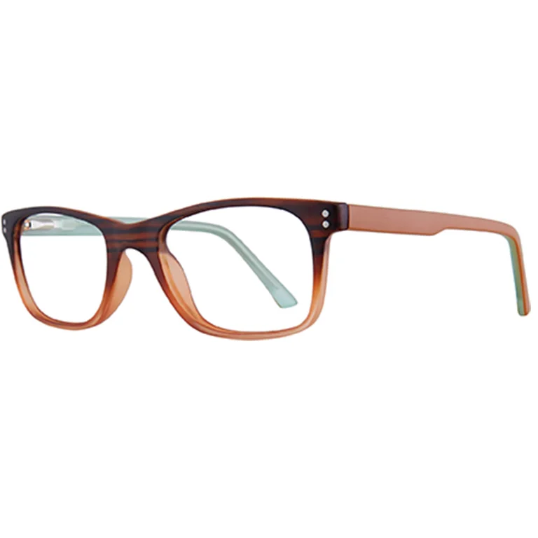 Stylewise Eyeglasses SW527
