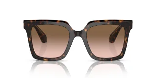 Giorgio Armani Sunglasses AR8156
