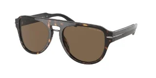 300673 Dark Tortoise