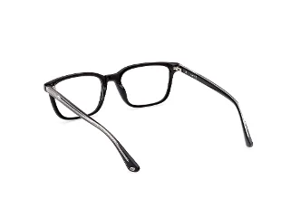 Web Eyeglasses WE5391