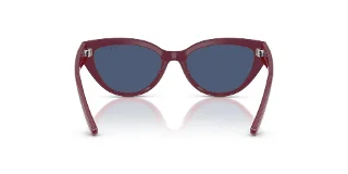 Vogue Sunglasses VJ2026