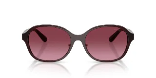 Coach Sunglasses HC8445D