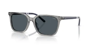 631887 Shiny Transparent Grey