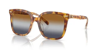 Coach Sunglasses HC8381U