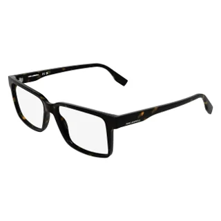 242 Shiny Dark Tortoise