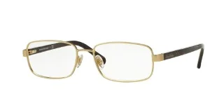 1669 Gold/Dark Tortoise
