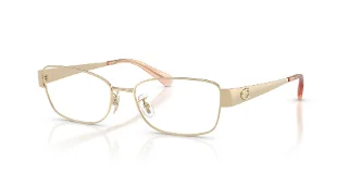 9005 Shiny Light Gold