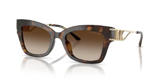 300613 Dark Tortoise