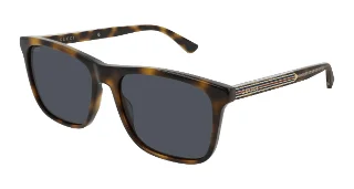 Gucci Sunglasses GG0381SN
