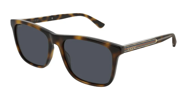 Gucci Sunglasses GG0381SN