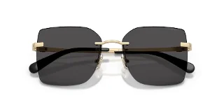 Coach Sunglasses HC7193D