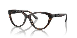 3006 Dark Tortoise