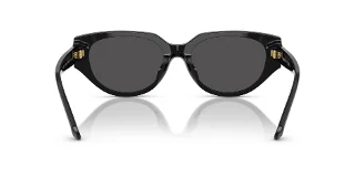 Swarovski Sunglasses SK6035D